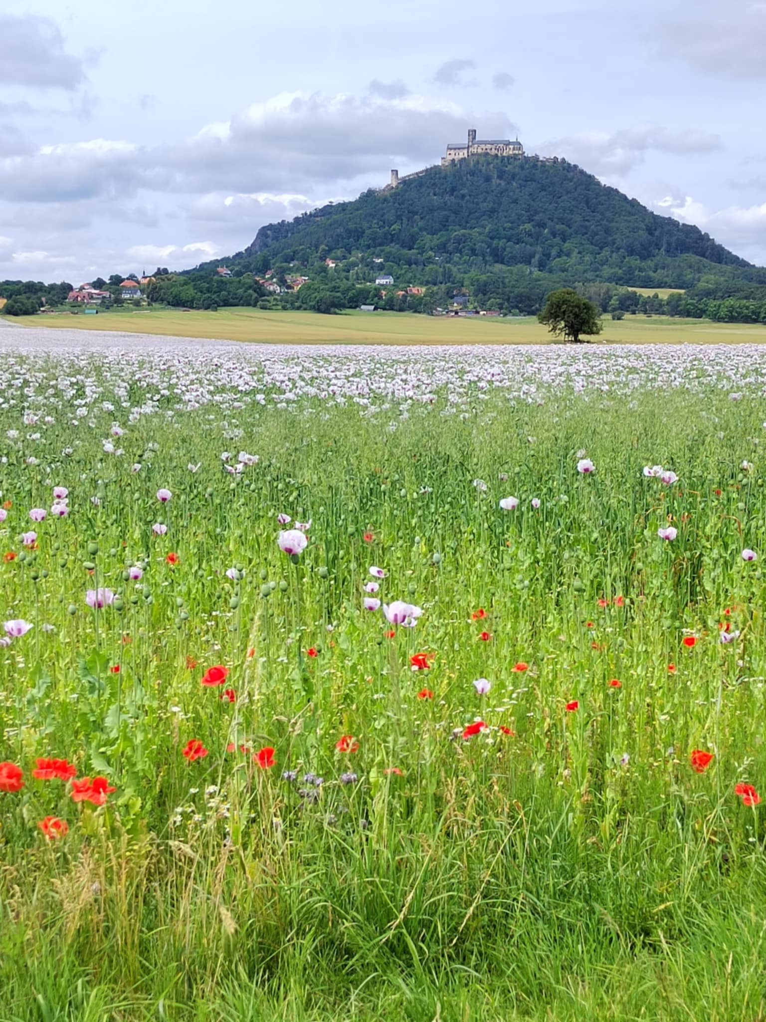 máchač okolí 2026